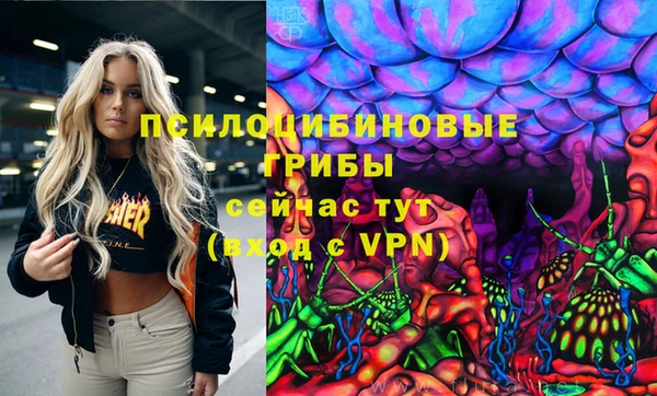 прущие крисы Абинск