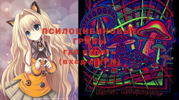 круглые Переславль-Залесский