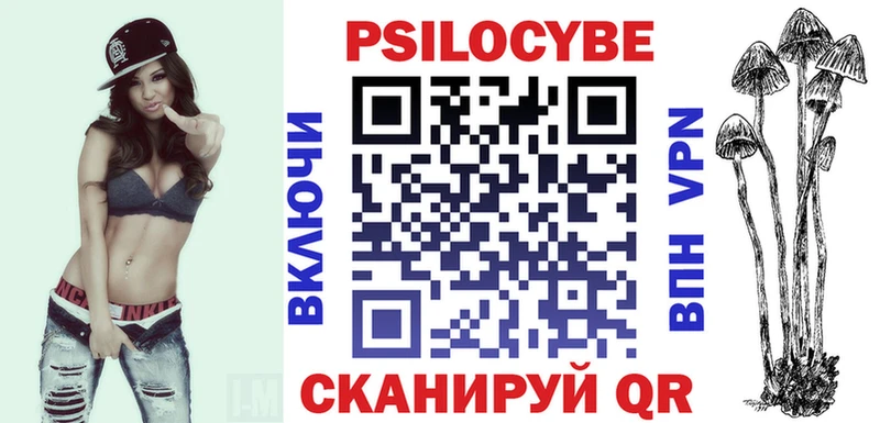 сколько стоит  Отрадный  blacksprut как войти  Галлюциногенные грибы Psilocybe 