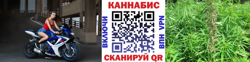 Конопля Bruce Banner  Отрадный 